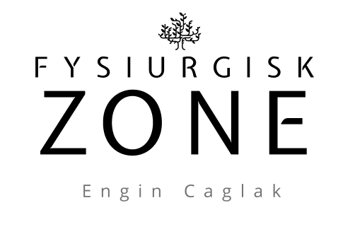 Fysiurgisk Zone, forside